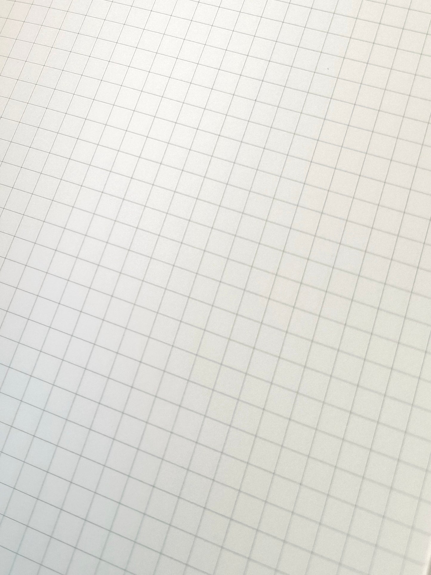 Quaderno Salice